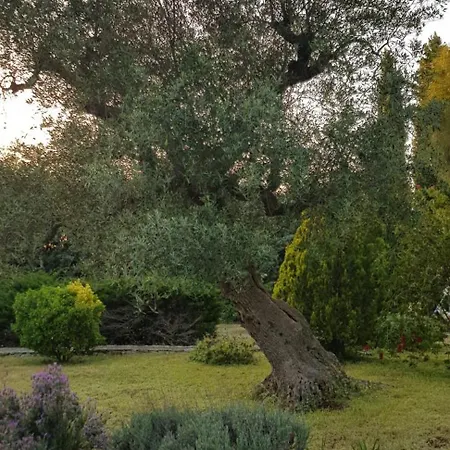 Isabella Apartment *