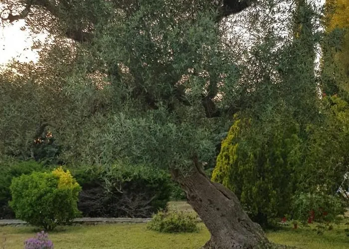 Isabella Appartamento *